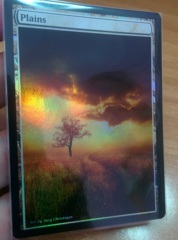 Plains #01 Foil Extended